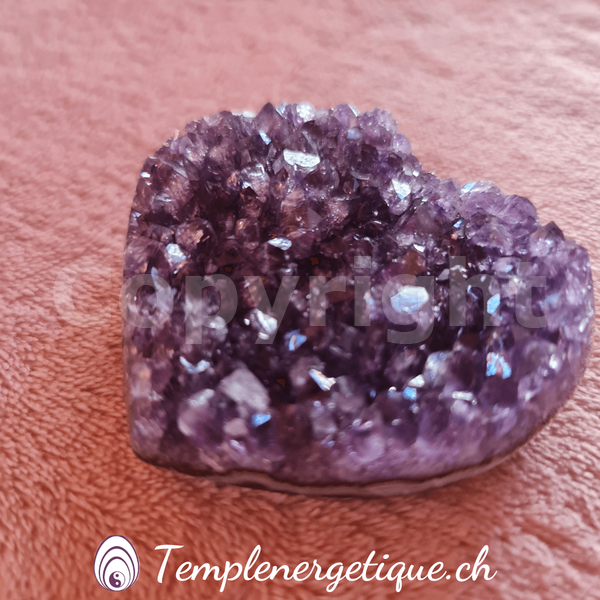 Coeur d'améthyste MOYEN