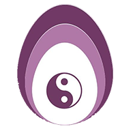 Icône de l'application